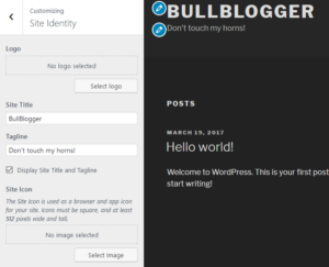 Customizing Site Identity