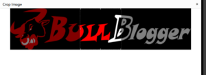 cropping logo image